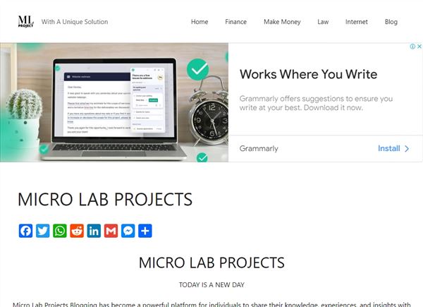 Micro Lab Projects